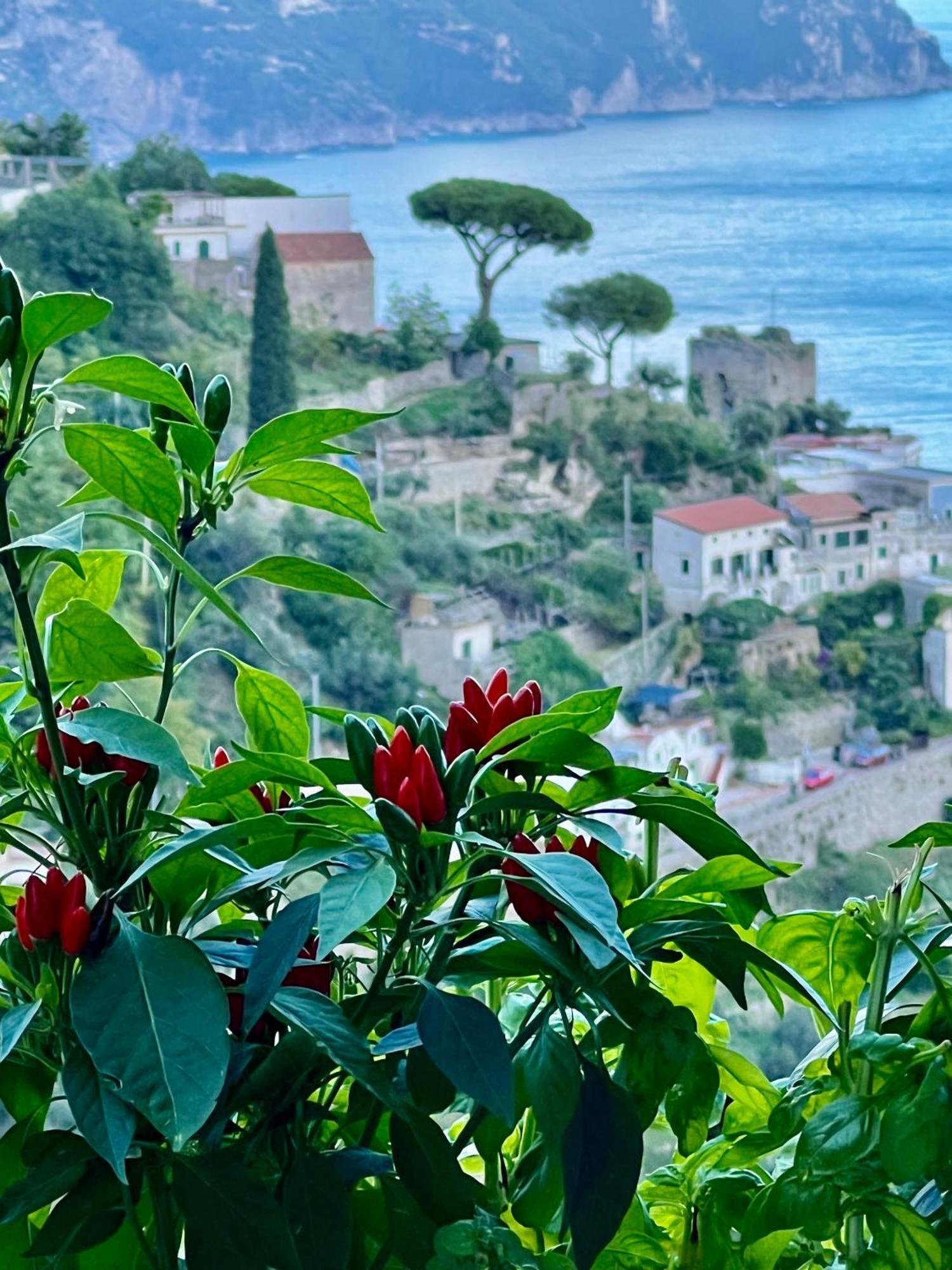 Villa Nina Amalfi Dış mekan fotoğraf